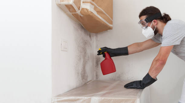 Professional Mold Cleanup technician working in West Orange, TX