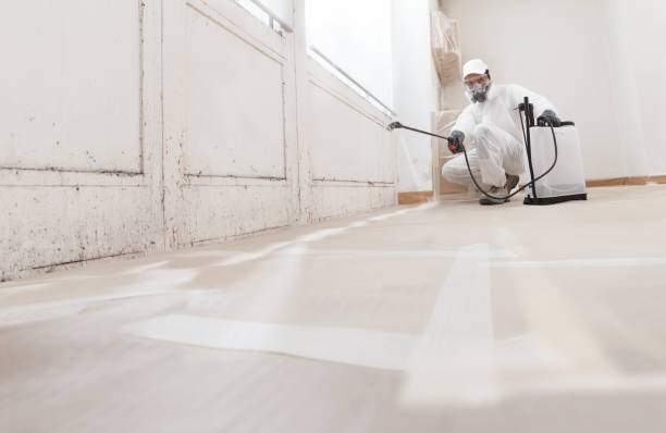 24/7 Emergency Mold Cleanup experts in West Orange, TX